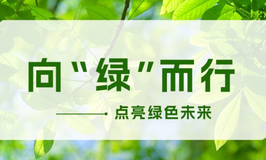 喜讯 | 1xbet股份CDP碳信息披露荣获B级评级